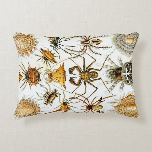 ヴィンテージスパイダーズまたはアラクナイズバイエルンスト・ヘッケル アクセントクッション (正面)