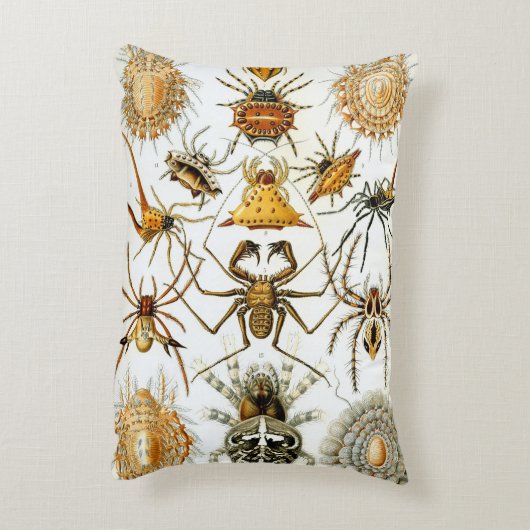 ヴィンテージスパイダーズまたはアラクナイズバイエルンスト・ヘッケル アクセントクッション (裏面(縦))