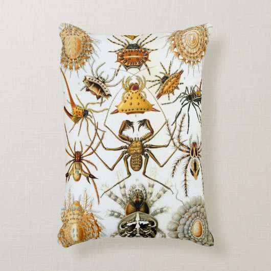 ヴィンテージスパイダーズまたはアラクナイズバイエルンスト・ヘッケル アクセントクッション (正面(垂直))