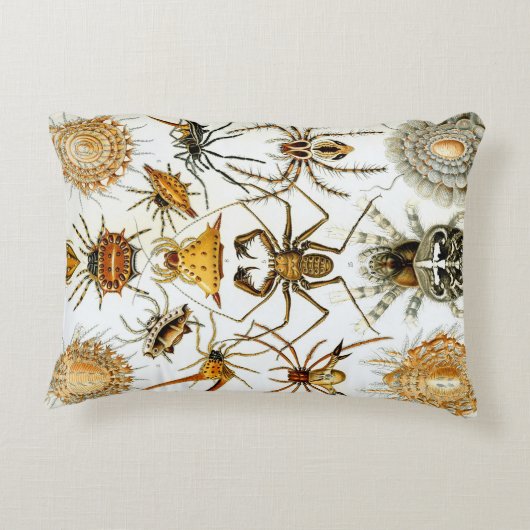 ヴィンテージスパイダーズまたはアラクナイズバイエルンスト・ヘッケル アクセントクッション (裏面)