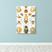 ヴィンテージスパイダーズまたはアラクナイズバイエルンスト・ヘッケル キャンバスプリント (インサイチュ (ウッドフロア))