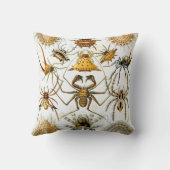 ヴィンテージスパイダーズまたはアラクナイズバイエルンスト・ヘッケル クッション (裏面)