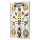 ヴィンテージスパイダーズまたはアラクナイズバイエルンスト・ヘッケル クリップボード (左)