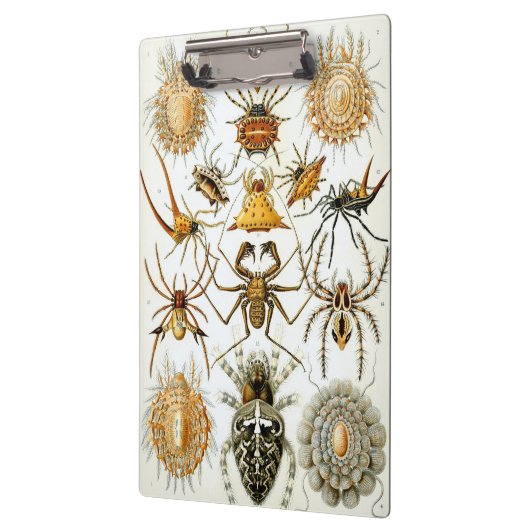 ヴィンテージスパイダーズまたはアラクナイズバイエルンスト・ヘッケル クリップボード (左)
