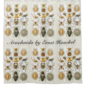 ヴィンテージスパイダーズまたはアラクナイズバイエルンスト・ヘッケル シャワーカーテン (正面)