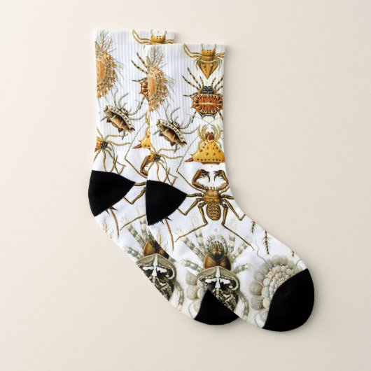 ヴィンテージスパイダーズまたはアラクナイズバイエルンスト・ヘッケル ソックス (ペア)