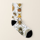 ヴィンテージスパイダーズまたはアラクナイズバイエルンスト・ヘッケル ソックス (左内側)