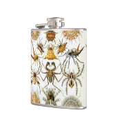 ヴィンテージスパイダーズまたはアラクナイズバイエルンスト・ヘッケル フラスク (左)