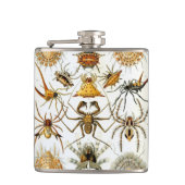 ヴィンテージスパイダーズまたはアラクナイズバイエルンスト・ヘッケル フラスク (正面)