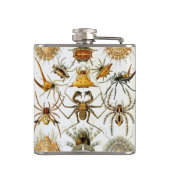 ヴィンテージスパイダーズまたはアラクナイズバイエルンスト・ヘッケル フラスク (裏面)