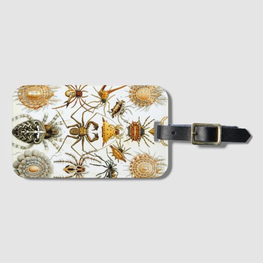 ヴィンテージスパイダーズまたはアラクナイズバイエルンスト・ヘッケル ラゲッジタグ (正面横)