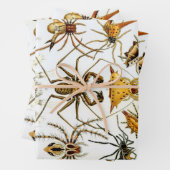 ヴィンテージスパイダーズまたはアラクナイズバイエルンスト・ヘッケル ラッピングペーパーシート (インサイチュ)