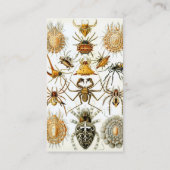 ヴィンテージスパイダーズまたはアラクナイズバイエルンスト・ヘッケル 名刺 (裏面)