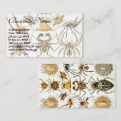 ヴィンテージスパイダーズまたはアラクナイズバイエルンスト・ヘッケル 名刺 (正面/裏面)