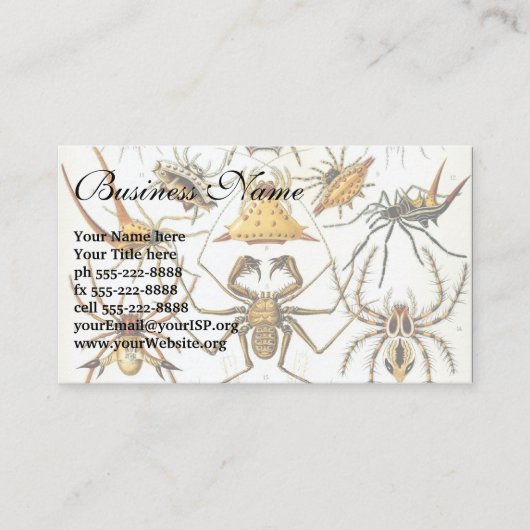 ヴィンテージスパイダーズまたはアラクナイズバイエルンスト・ヘッケル 名刺 (正面)