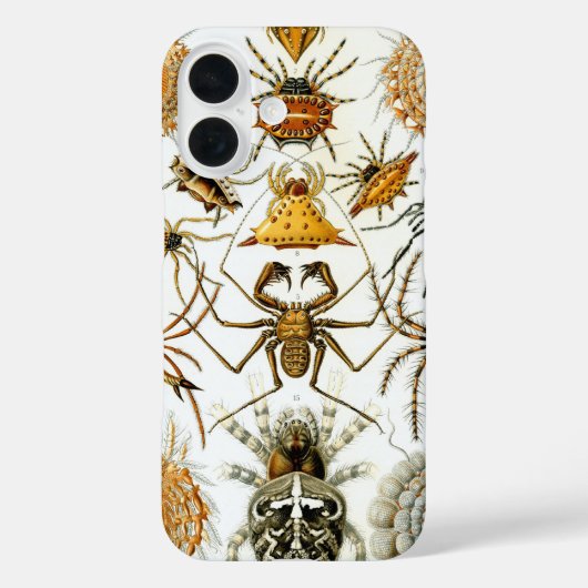 ヴィンテージスパイダーズまたはアラクナイズバイエルンスト・ヘッケル Case-Mate iPhoneケース (裏面)