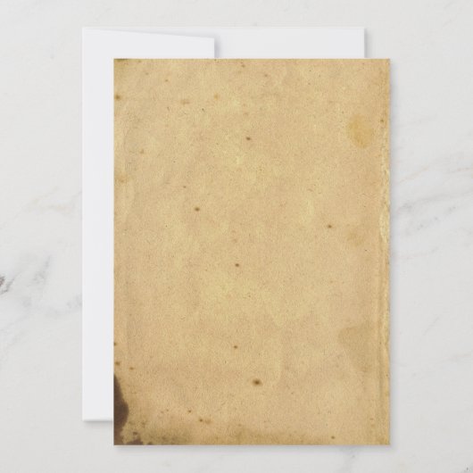 ヴィンテージスパイダーフレームハローウィンパーティ 招待状 (裏面)