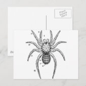 ヴィンテージスパイダー図 ポストカード (正面/裏面)