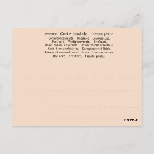 ヴィンテージスペイン、サラマンカ、上院、 ポストカード (裏面)