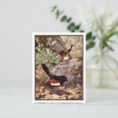 ヴィンテージスポッテッドトホエ – Robert Bruce Horsfall ポストカード (スタンド正面)