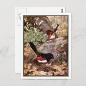 ヴィンテージスポッテッドトホエ – Robert Bruce Horsfall ポストカード (正面/裏面)