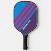 ヴィンテージスポーツ電動ストライプブドウの名前 ピックルボールラケット (裏面)