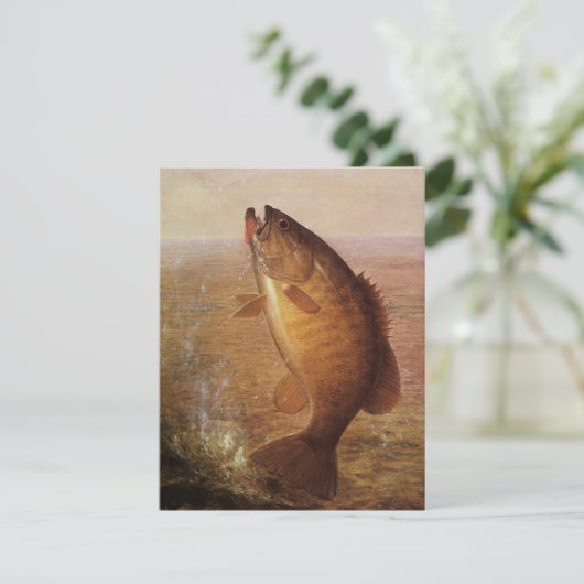 ヴィンテージスポーツ魚釣りラージムウスブラウンバスフィッシュ (スタンド正面)