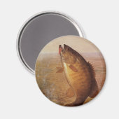 ヴィンテージスポーツ魚釣りラージムウスブラウンバスフィッシュ マグネット (正面/裏面)