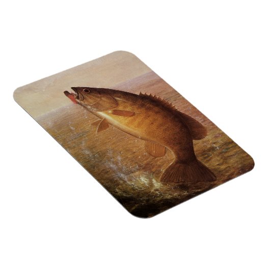 ヴィンテージスポーツ魚釣りラージムウスブラウンバスフィッシュ マグネット (右側)