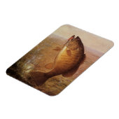 ヴィンテージスポーツ魚釣りラージムウスブラウンバスフィッシュ マグネット (左側)