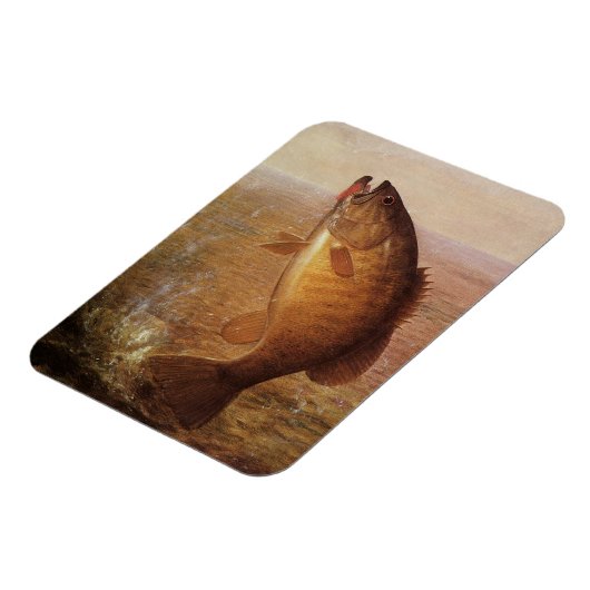 ヴィンテージスポーツ魚釣りラージムウスブラウンバスフィッシュ マグネット (左側)