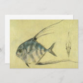 ヴィンテージスレッドフィントレヴァリー、アフリカポンパノフィッシュ (正面/裏面)