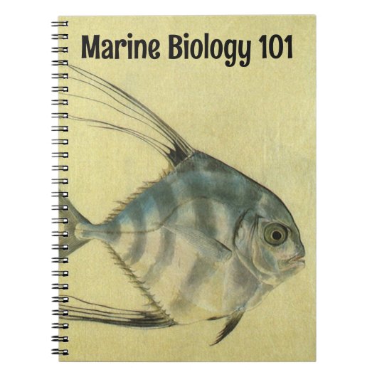 ヴィンテージスレッドフィントレヴァリー、アフリカポンパノフィッシュ ノートブック (正面)