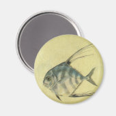 ヴィンテージスレッドフィントレヴァリー、アフリカポンパノフィッシュ マグネット (正面/裏面)