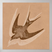 ヴィンテージスワローイラストレーション- 1800のアンティークバード ポスター (正面)