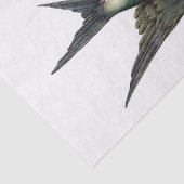ヴィンテージスワローバードイラストレーション 薄葉紙 (詳細)