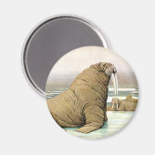 ヴィンテージセイウチ北極、野生動物の氷山 マグネット