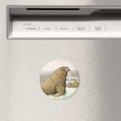 ヴィンテージセイウチ北極、野生動物の氷山 マグネット