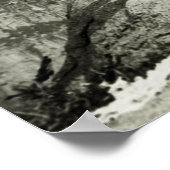 ヴィンテージセオドアルーズヴェルトヨセミテ ポスター (角)