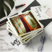 ヴィンテージセコイア国立公園 マグネット