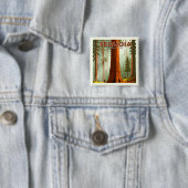 ヴィンテージセコイア国立公園 缶バッジ (インサイチュ)