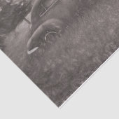 ヴィンテージセピアカーアンティークオールドア素朴ートデクページ 薄葉紙 (詳細)