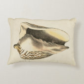 ヴィンテージセピアコンチシェル アクセントクッション (裏面)