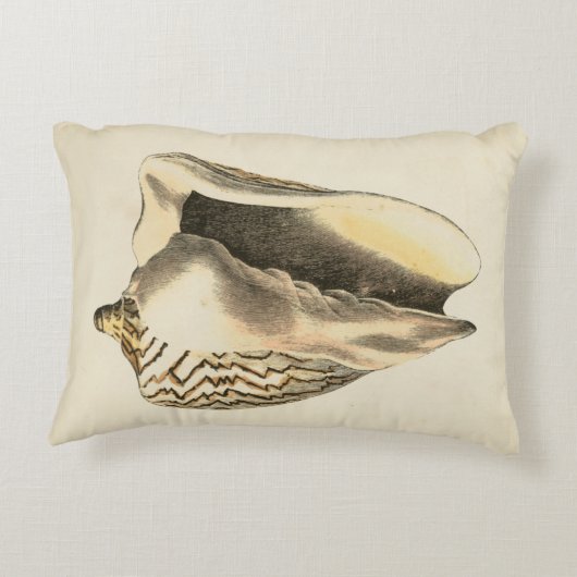 ヴィンテージセピアコンチシェル アクセントクッション (裏面)