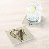 ヴィンテージセピアコンチシェル ガラスコースター (アングル)