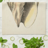 ヴィンテージセピアコンチシェル キッチンタオル (折り畳み)