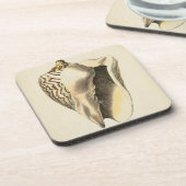ヴィンテージセピアコンチシェル コースター (左側)