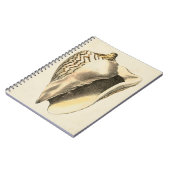 ヴィンテージセピアコンチシェル ノートブック (左側)