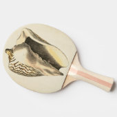 ヴィンテージセピアコンチシェル 卓球ラケット (横)