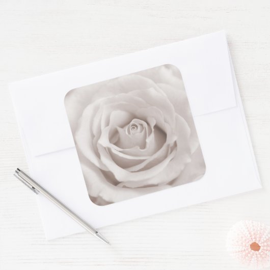 ヴィンテージセピアホワイト&クリームバラ背景カスタム スクエアシール (封筒)